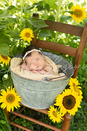 Emery Newborn-99