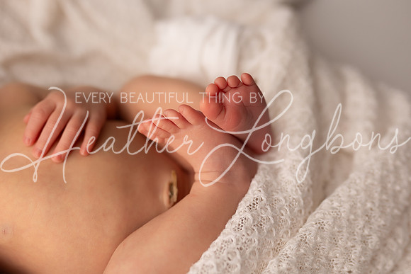 Collins Ward Newborn-10