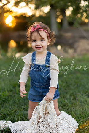 Sunset Wolfe family-95