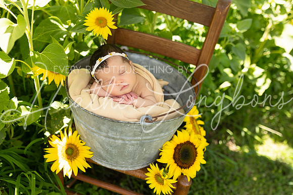 Emery Newborn-101