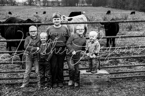 Bell Extended family-16BW