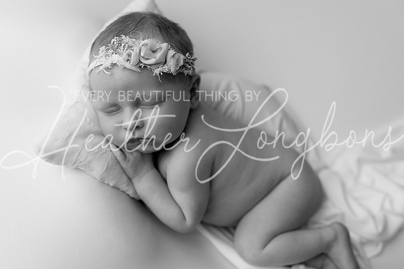 Colbie newborn-27BW