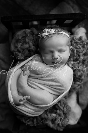 Ellaretta newborn-38BW