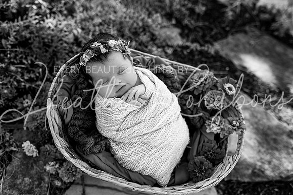 Emery Newborn-107BW