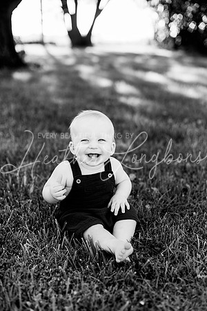 Maddux One Year-7BW