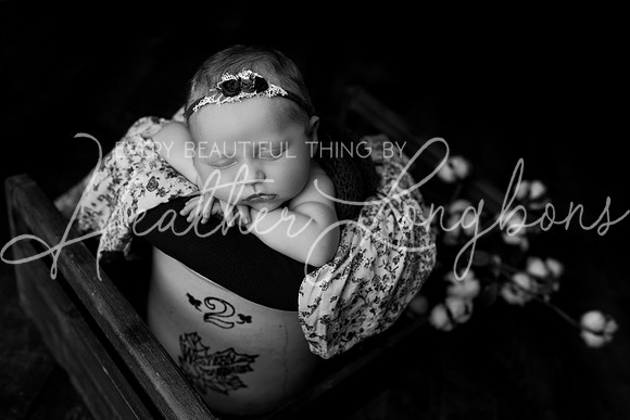 Colbie newborn-24BW