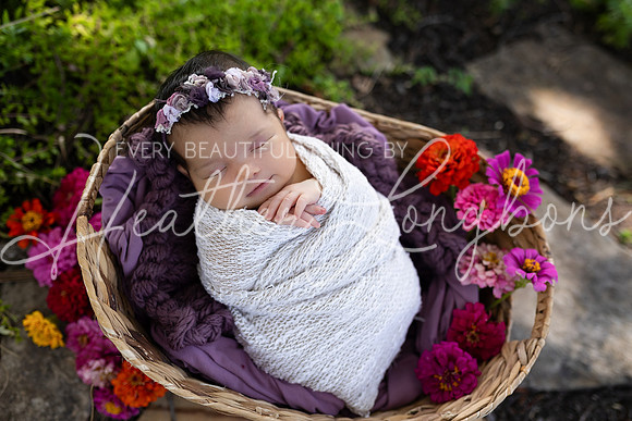 Emery Newborn-106