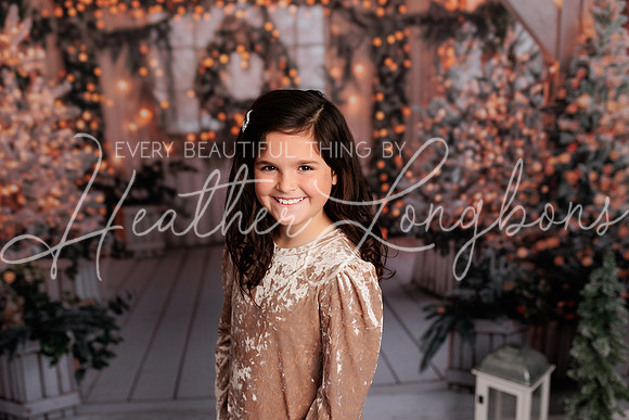 2024 Christmas Fewkes-9