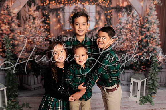 2024 Christmas McDaniel-26