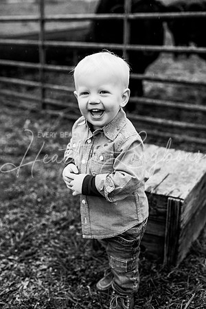 Bell Extended family-31BW
