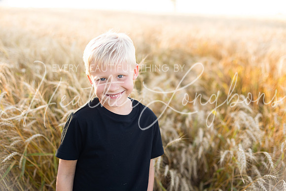 Wheat field Speirs-21