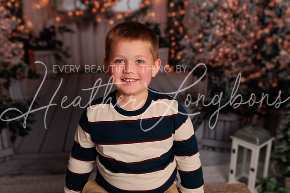 Christmas Abby-4