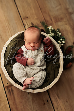 Forrest VanMatre Newborn-9