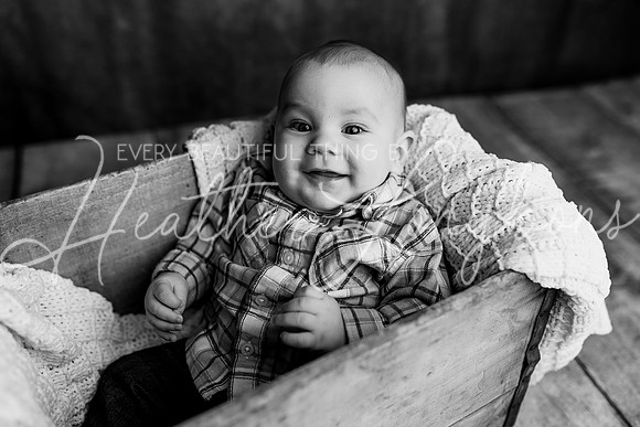 Forrest 3 months-8BW